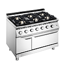 700 Series 6 - Burner Gas Range With Oven / FEGR1007GO